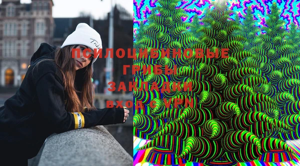 дживик Абаза