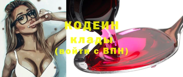 дживик Абаза