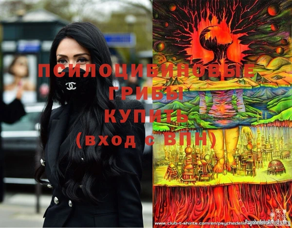 меф Алексин