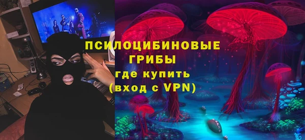 хмурый Алзамай
