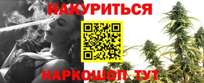 шишки Гусиноозёрск