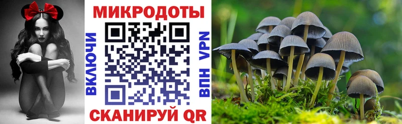 Псилоцибиновые грибы MAGIC MUSHROOMS  Старая Купавна 