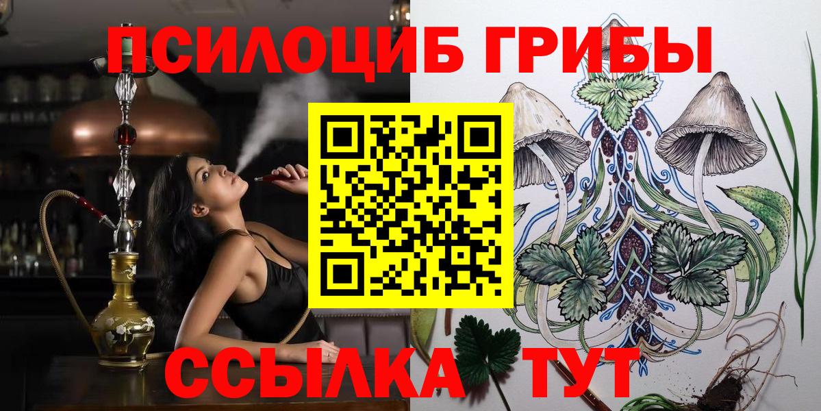 Старая Купавна  Галлюциногенные грибы MAGIC MUSHROOMS  Вход с VPN 
