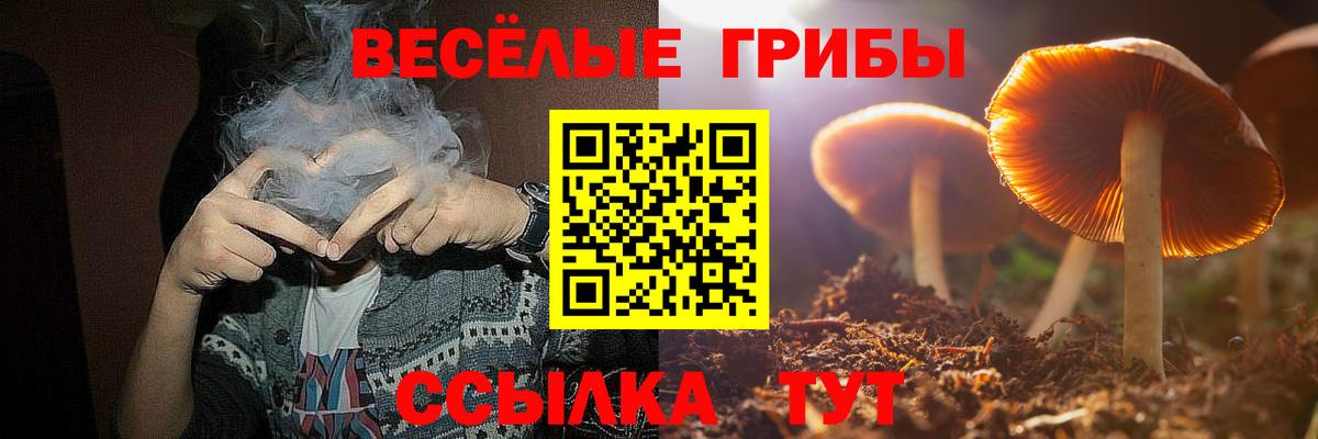 Галлюциногенные грибы мицелий Старая Купавна